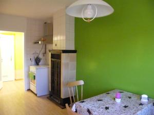 a kitchen with a table and a green wall at unser Ferienhaus in Hempel