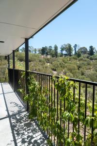 a balcony with plants on the side of a building at Casa Salvador in Flagstaff Hill