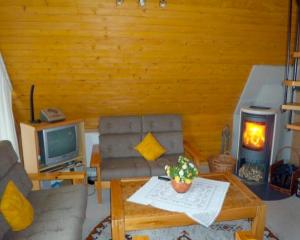 a living room with a couch and a tv and a fireplace at Ferienhaus Busch in Bünsdorf