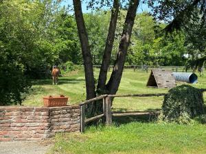 Zahrada ubytování AGRITURISMO I CAMINI