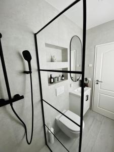 e bagno con doccia, servizi igienici e specchio. di Sonnensteinzimmer a Pirna Altre 2 foto