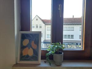 Gallery image of Zentrale Altbau Fewo Marktplatz in Gunzenhausen +15 photos