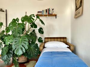 Postel nebo postele na pokoji v ubytování Buonocore Guesthouse