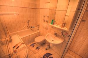 a bathroom with a toilet and a sink and a shower at Ostseeaussicht in Eckernförde