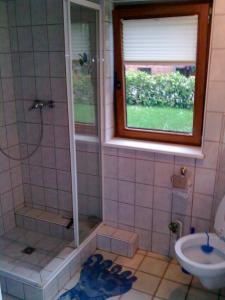 Un baño con ducha, inodoro y ventana. en Ferienhaus Gerasymchuk, en Eckernförde