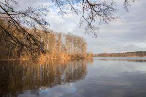 a view of a lake with trees in the water at Ferienhaus Cornell in Amtshof