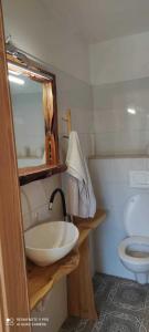 a bathroom with a sink and a toilet at Robinson Mili in Bogomolje
