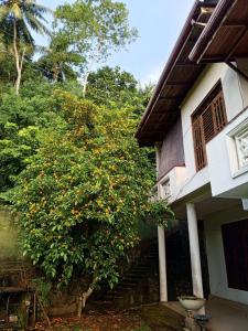 ein Orangenbaum vor einem Haus in der Unterkunft Villa Lumina Unawatuna in Galle + 13 Fotos