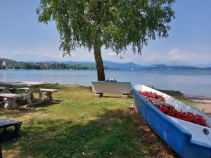 a park with a bench and a table and a tree at Bnbook Lago Magico in Dormelletto +18 photos