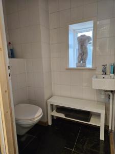 a bathroom with a toilet and a sink at Sea Breeze apartment Hellevoetsluis in Hellevoetsluis +3 photos
