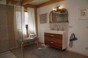 a bathroom with a shower and a sink and a mirror at Adlerstraum -Auszeit am Haff in Vogelsang