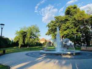 a fountain in the middle of a park at Stay pe Republicii in Blaj