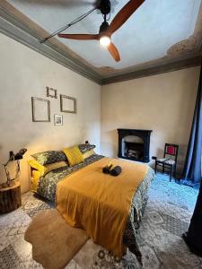 内比乌诺Lovely Apartment in Tapigliano, 80 m² with Terrace的一间卧室，里面有一张床和一个吊扇