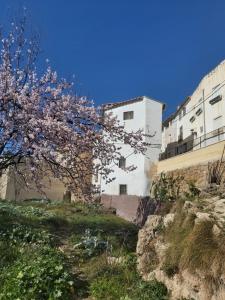 a flowering tree in front of a white building at Candela de la Murtera in Chelva