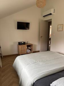 Et tv og/eller underholdning på MAISON CENTRE D'ARNAGE idéal 24h du Mans et Le Mans classic