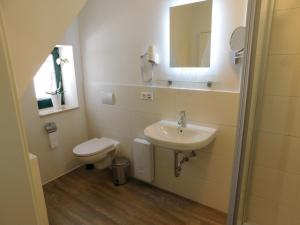 a bathroom with a sink and a toilet and a mirror at Rektorscheune in Bad Sülze +6 photos