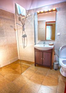 Un baño con ducha, lavabo e inodoro. en Goldsmith, en Sibiu
