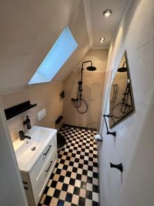a bathroom with a sink and a shower with a window at GÄSTEWOHNUNGEN AM SEE "Maisonette & Suite" in Neuenkirchen +26 photos