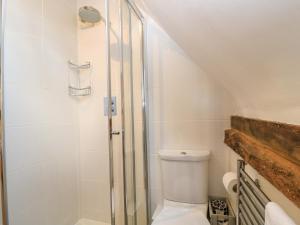 ein Badezimmer mit Dusche und Toilette in der Unterkunft April Cottage in Chipping Campden