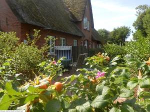 a garden in front of a house with plants at Pastoratshof - Whg8 in Wrixum