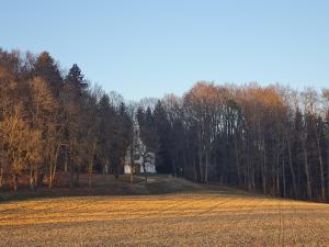un campo con una casa en medio de un bosque en Ferienwohnung Dreher, en Aulendorf