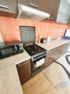 une cuisine avec une cuisinière et un micro-ondes dans l'établissement Stylish Penthouse with City View & Private Parking, à Timişoara
