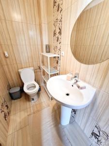 une salle de bain avec un lavabo et des toilettes dans l'établissement Stylish Penthouse with City View & Private Parking, à Timişoara