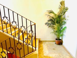 Fotografie z fotogalerie ubytování The Regalia Goa v destinaci Porvorim