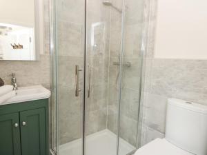 a bathroom with a shower with a toilet and a sink at Dyffryn Cottage in Cardigan +40 photos