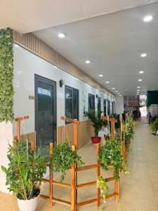 a hallway with potted plants in a building at Homestay Dương Đông Town in Phu Quoc