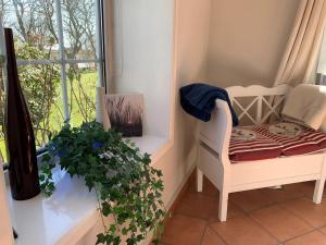 Una habitación con una silla y una planta y una ventana. en Jaardenhuug - EG, en Utersum