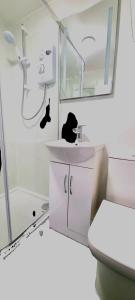 Ein Badezimmer mit einer schwarzen Katze, die auf einem Waschbecken sitzt. in der Unterkunft 8 Penhale in Perranporth