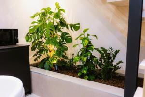 a group of plants in a planter on a wall at Sauna - Massage - Double Shower - Luxe in Romans in Romans-sur-Isère +40 photos