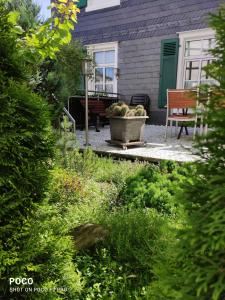 Zahrada ubytování FEWO Altstadt Hückeswagen"das historische"