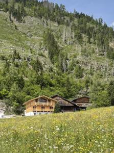 una casa en una colina con un campo de flores en Schmied in Oberdrum, en Oberlienz