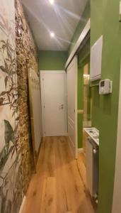 a small kitchen with green walls and a hallway at Passera Royal Suite in Florence