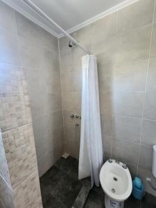 a bathroom with a toilet and a shower at Departamento Chascomus n420 in Dolores