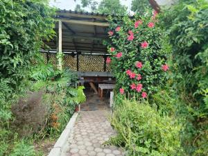 Goggas Nest BNB & Restaurant外面的花园