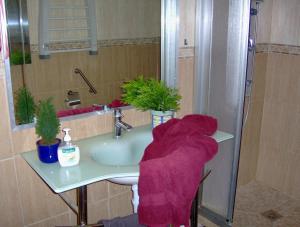 Fotografia z galérie ubytovania Günstiges Apartment an der Straße v destinácii Icod de los Vinos