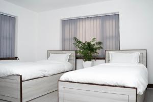 two beds with white sheets and a potted plant at The Serenity Space in Pātan