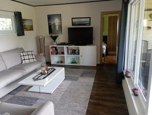 a living room with a couch and a tv at Ferienhaus "Op'n Barg" in Holzbunge