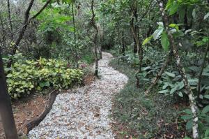 a path in the middle of a forest at Pousada Spa Prana Lorien in Santo Antônio do Leite