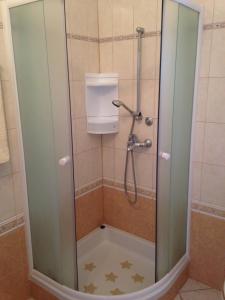 a shower with a glass door in a bathroom at Apartments Hrboka in Žman +35 photos