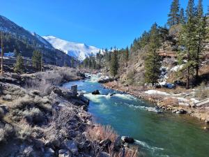 a river in the middle of a mountain with trees at Newly remodeled mountain home! in Floriston