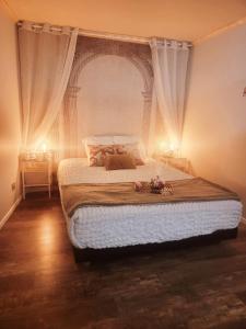 a bedroom with a large bed with a canopy at L'Atelier Des Roses, Lunéville centre in Lunéville +3 photos