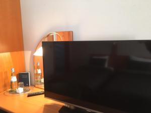 TV a/nebo společenská místnost v ubytování Hotel The New Fox