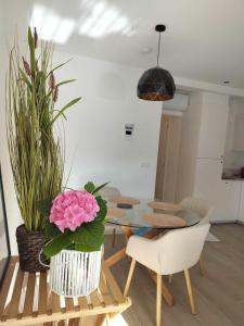 Köök või kööginurk majutusasutuses Sealor, zonnig appartement met ruim terras