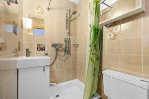 a bathroom with a shower and a toilet and a sink at Rossignol C3 - 4 pers - vue magnifique in Nendaz +19 photos