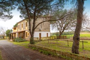 an old stone house with trees on the side of a road at Podere La Grande Quercia in Rosignano Marittimo