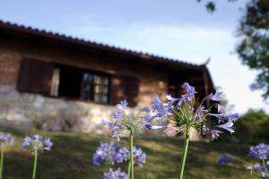 a bunch of purple flowers in front of a house at Pousada Spa Prana Lorien in Santo Antônio do Leite